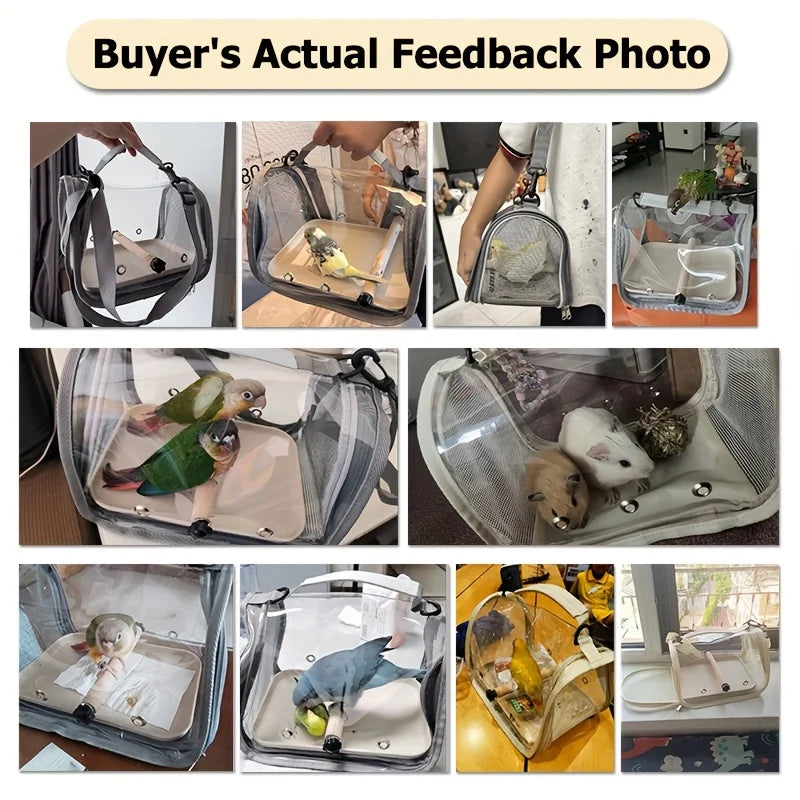 Various photos showing a portable bird travel carrier with transparent viewing panels and various birds inside.