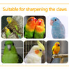 Colección de loros y pájaros coloridos usados para afilar garras en un juguete con percha.
