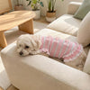 Stunning 3D Mesh Bow Dog Suit