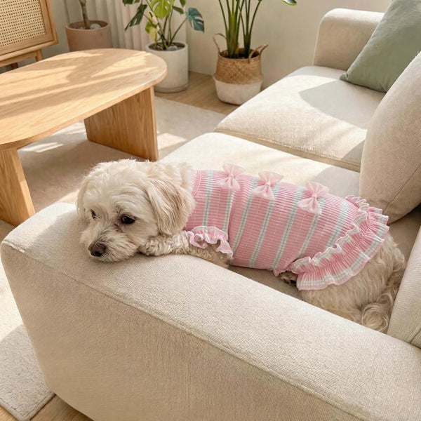 Stunning 3D Mesh Bow Dog Suit
