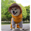 Un perro de color marrón claro vistiendo un impermeable amarillo de doble capa al aire libre.