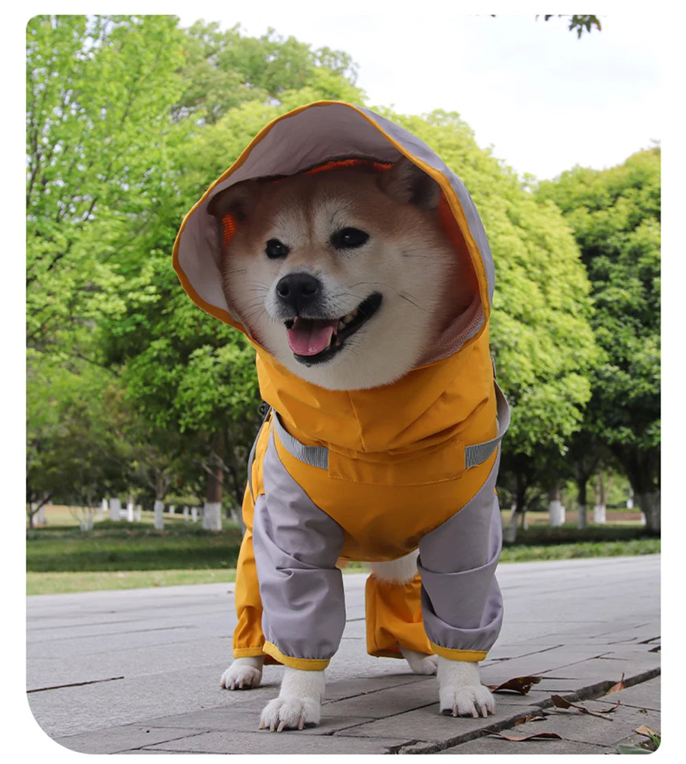 Un perro de color marrón claro vistiendo un impermeable amarillo de doble capa al aire libre.