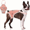 A Boston Terrier wearing a pink washable dog sanitary pant with a white pattern and shoulder straps.