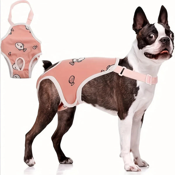 A Boston Terrier wearing a pink washable dog sanitary pant with a white pattern and shoulder straps.