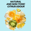 A collection of citrus fruits like oranges and lemons, showing a natural and non-toxic citrus odour.