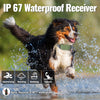 Ein Hund springt durch Wasser, der wasserdichten Fähigkeit eines IP67-Empfängers demonstrierend.