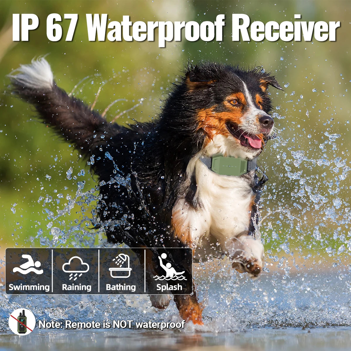 Ein Hund springt durch Wasser, der wasserdichten Fähigkeit eines IP67-Empfängers demonstrierend.