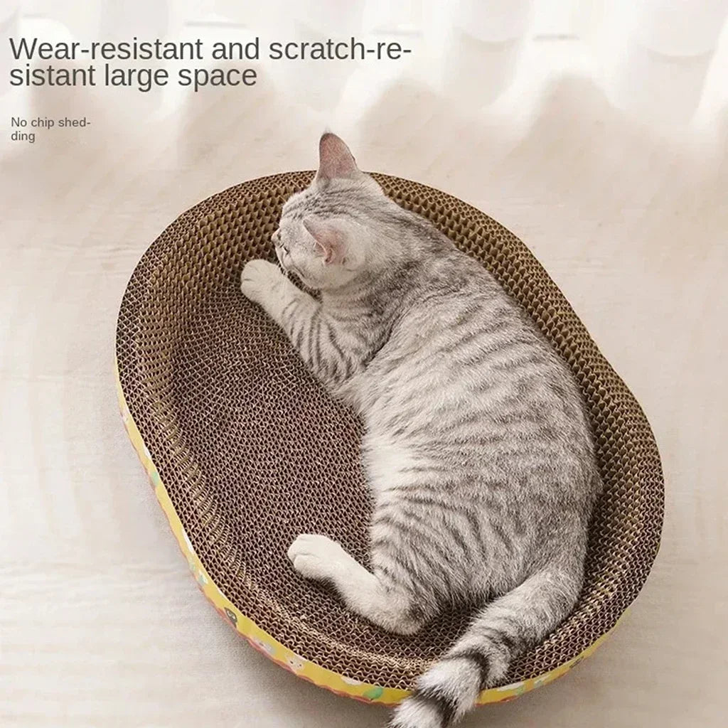 A gray tabby cat is relaxing in a woven, wear-resistant scratching post designed for claws and furniture protection.