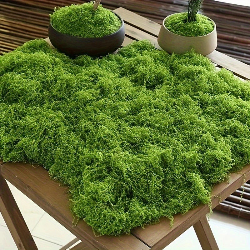 A lush green moss covering a wooden table, with small potted moss plants nearby.