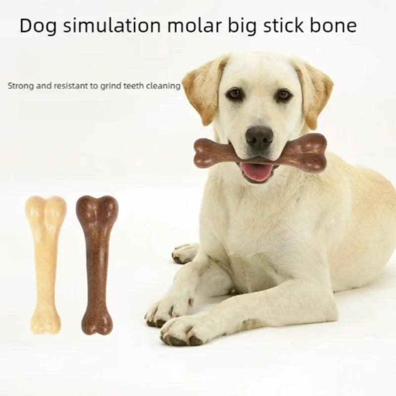 A light-colored dog is holding a brown wooden molar chew toy, with a separate tooth-shaped bone visible nearby.