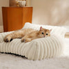 Un chat roux et duvete relaxe sur un canapé-lit blanc texturé sur un tapis blanc.