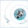 A close-up of a dog's face submerged in water, with black anti-slip paw protectors visible near the surface.