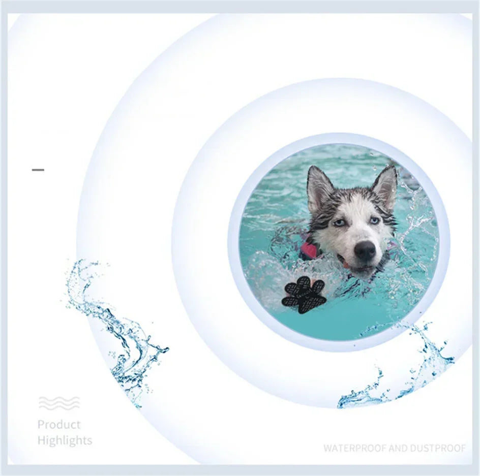 A close-up of a dog's face submerged in water, with black anti-slip paw protectors visible near the surface.
