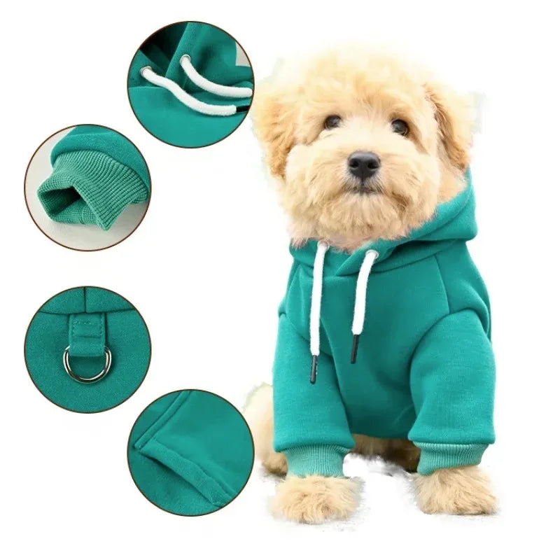 Un retriever dorado peludo vistiendo una sudadera de felpa verde azulada para perros.