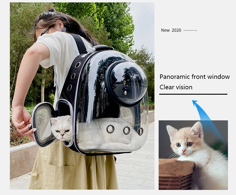 Eine Person trägt einen schwarzen, transparenten Pet-Rucksack mit Panoramafenster, in dem eine kleine Kitten steckt