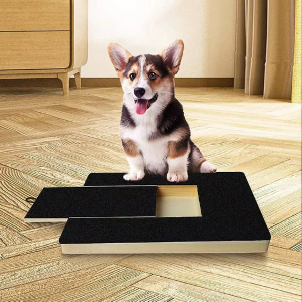 A fluffy brown and white dog sits on a black wooden pet scratching board with a treat dispenser.