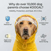 A golden retriever wearing a yellow waterproof raincoat designed to provide visibility, protection, and style.