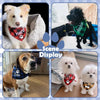 Collage de bandanas bordadas personalizadas con nombres de perros, mostrando varias razas y colores.