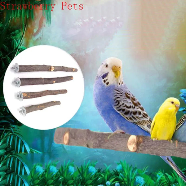 A blue parrot perched on a wooden branch with several natural wood pet perches and chew toys visible.