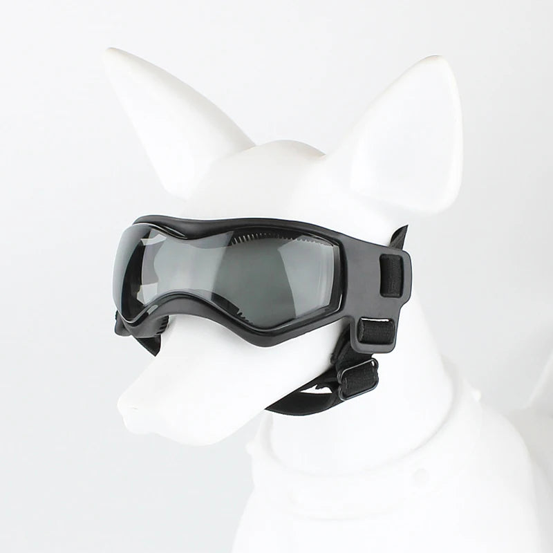 Schwarze, verstellbare UV-Schutz-Hundesign-Sonnenbrille getragen von einem weißen Hund.