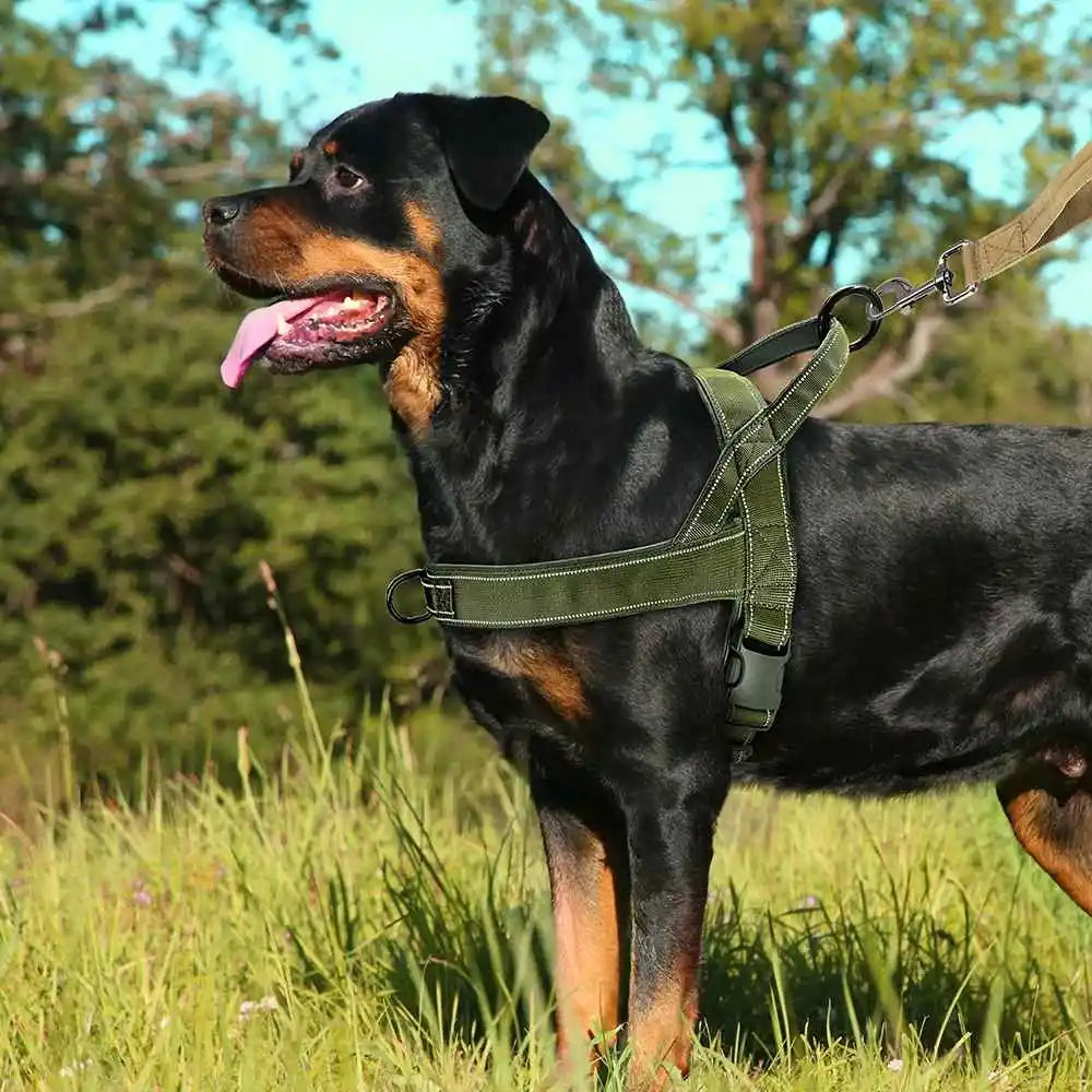 A black and tan dog wearing a tactical anti-pull dog harness standing in a grassy field.