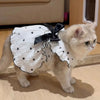 A light cream cat wearing a white dress with black heart print and a black bow on its back.