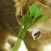 A cat is interacting with a green catnip molar stick toy, which features a natural stick for dental health.