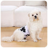 A fluffy white dog is sitting on a light wooden floor next to a white couch.