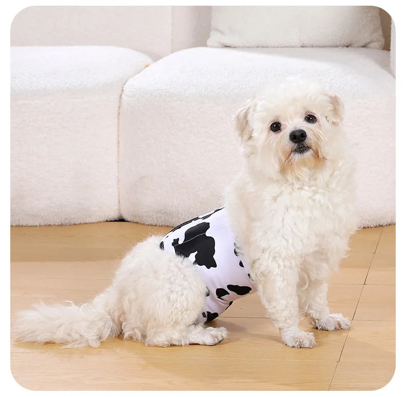A fluffy white dog is sitting on a light wooden floor next to a white couch.