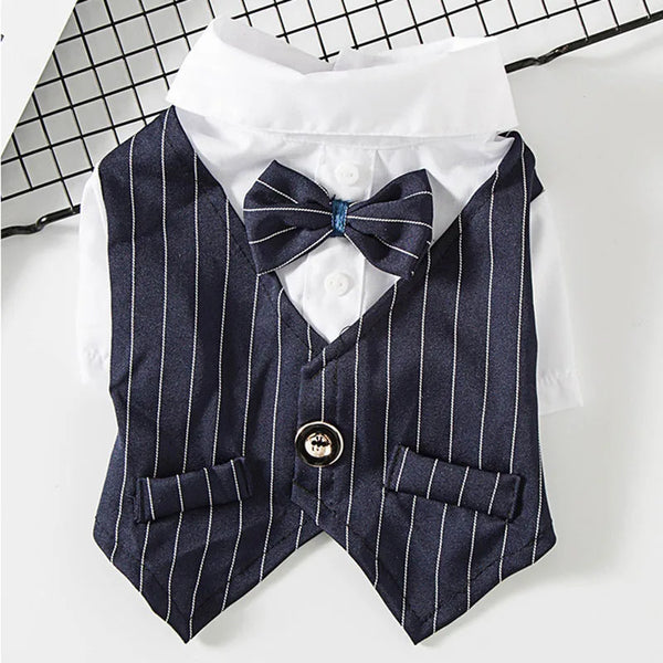 A navy blue striped vest with a bow tie and white shirt displayed on a grid background.
