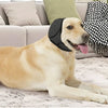 A light-colored dog lying down wearing a black noise reduction earmuff on its head.
