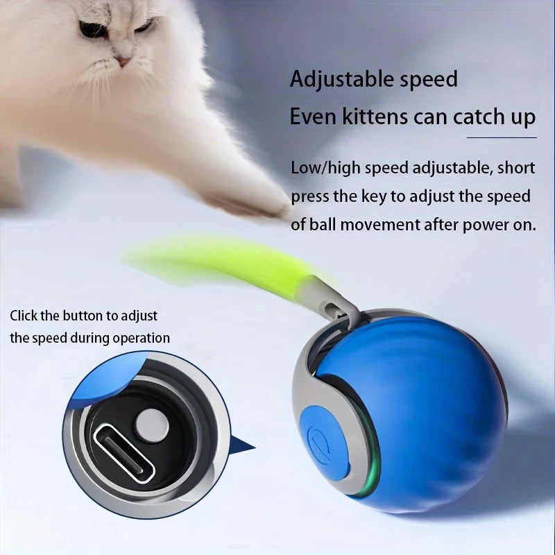 A blue electric cat ball toy with a yellow tip is shown next to a kitten, demonstrating adjustable speed features.