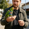 A man holds a green parrot in an adjustable denim bird harness and flight leash set.