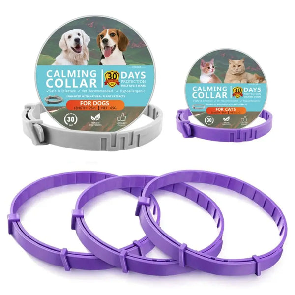 Set lila, verstellbare Ruhehalsbänder für Hunde und Katzen mit Informationsetiketten.