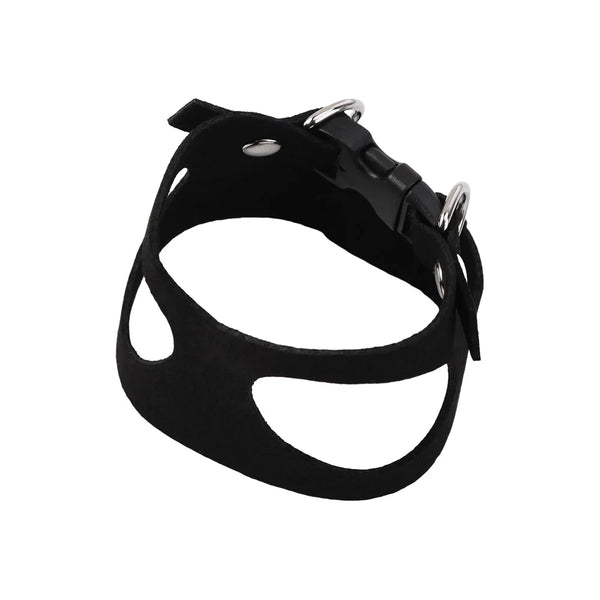 Black adjustable lizard harness and leash set for pets