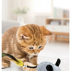 A small orange kitten is interacting with a toy mouse, demonstrating the motion-activated feature.