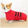 A small dog wearing a red and black striped microfiber dog robe.
