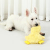 A white dog is interacting with a yellow plush duck pet toy on a light surface.