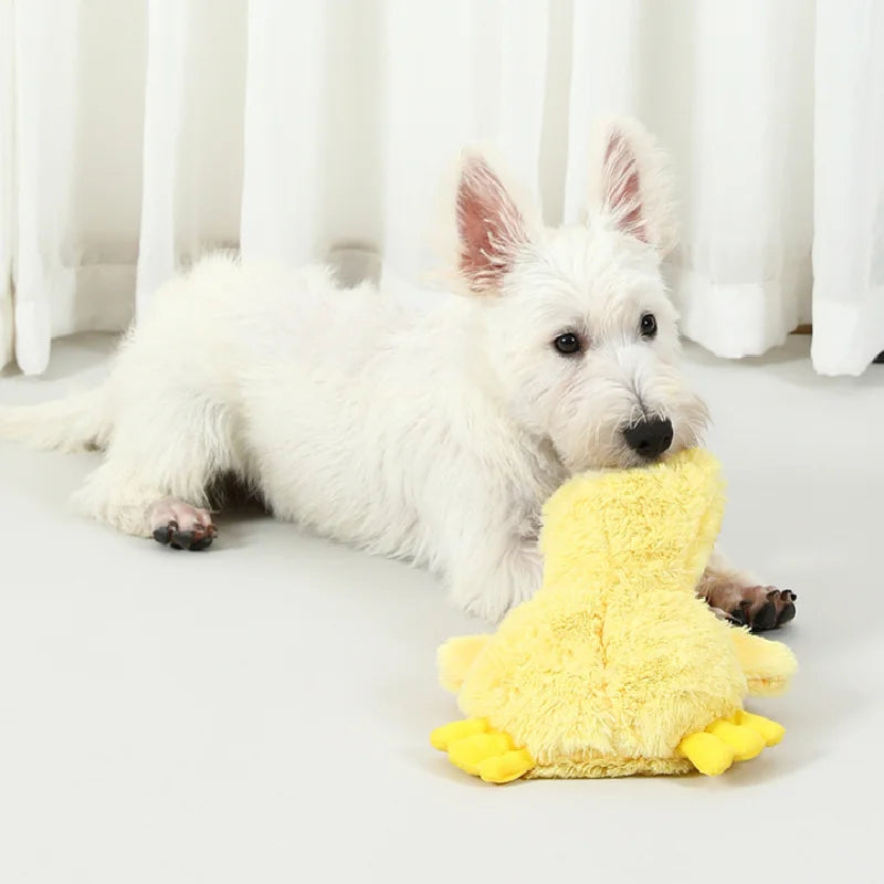 A white dog is interacting with a yellow plush duck pet toy on a light surface.