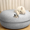 A fluffy white kitten is peeking out from a grey felt cat bed with a tunnel hideaway.