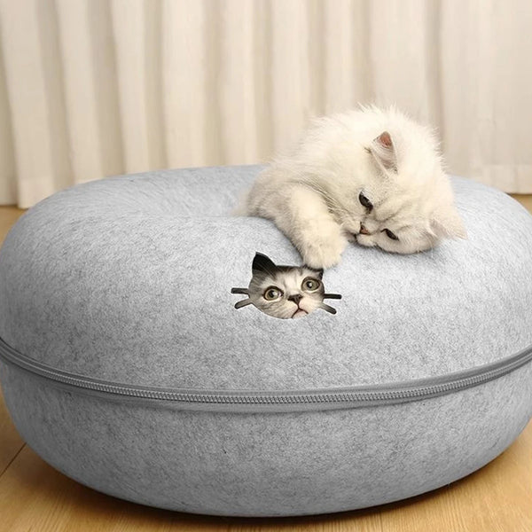 A fluffy white kitten is peeking out from a grey felt cat bed with a tunnel hideaway.