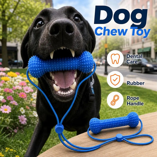 A black dog is holding a blue dental chew toy with a rope handle outdoors.