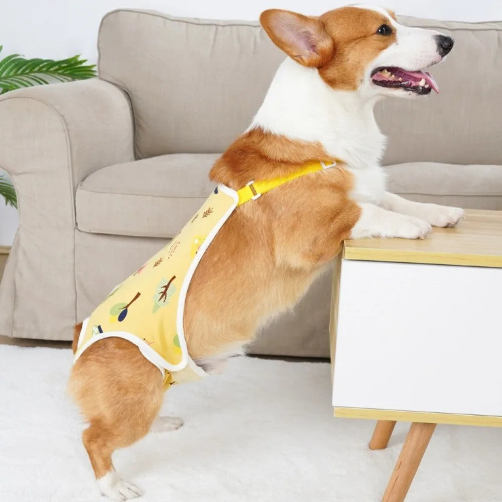 A happy brown and white dog wearing yellow adjustable sanitary pants with shoulder straps.