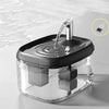 Fontaine à eau automatique en verre clair avec bec en acier inoxydable, en train de verser de l'eau.