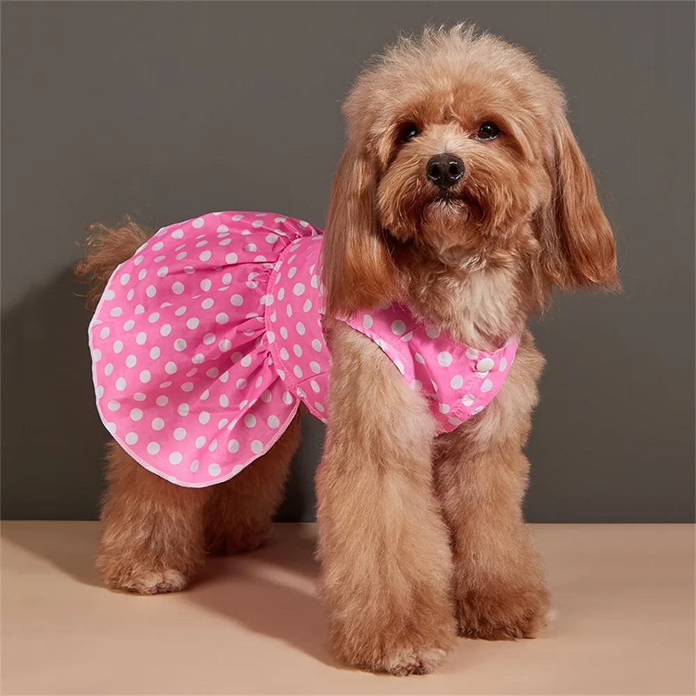 A light brown poodle wearing a pink polka dot dog dress with a ruffled skirt.