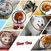 A collage showing various pets, including cats and dogs, wearing a clear PVC pet recovery collar for show time.