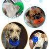 Various spiky squeaky dog chew toys including green, orange, and blue rubber toys for dental care.