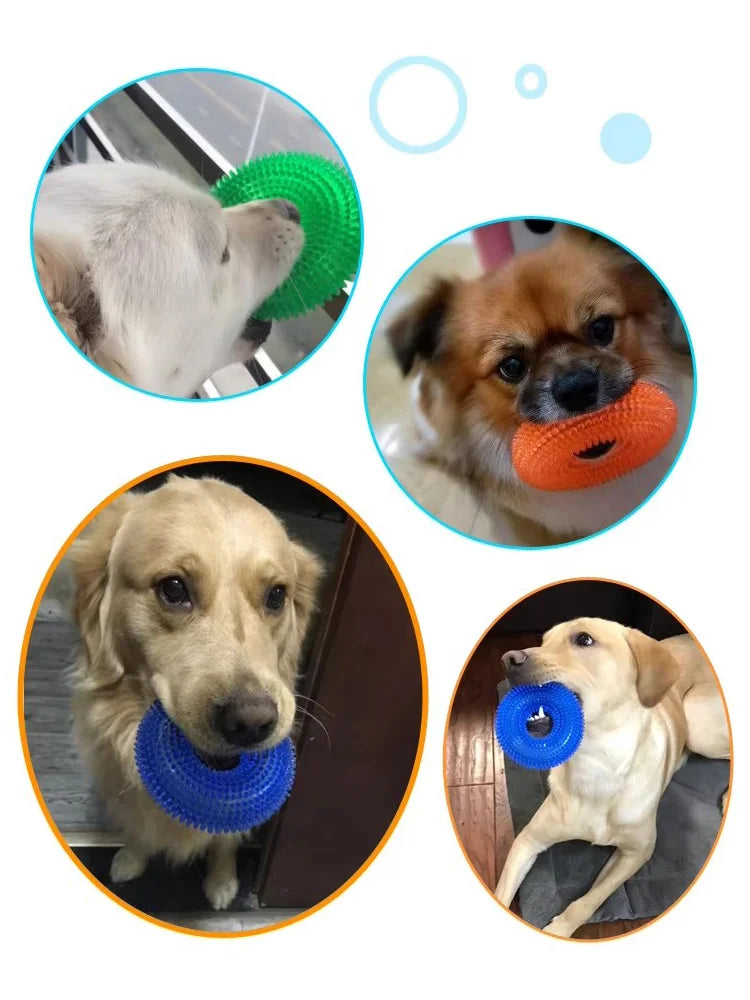Various spiky squeaky dog chew toys including green, orange, and blue rubber toys for dental care.