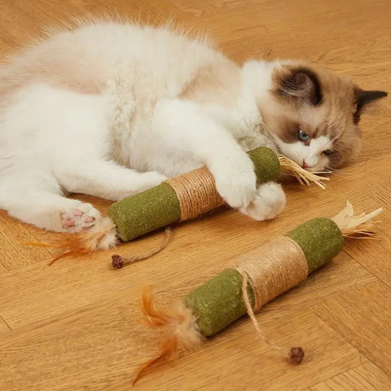 A white kitten is lying on a wooden surface next to several natural wooden teething sticks for cats.