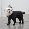 Un petit chien blanc portant un imperméable noir avec capuche.